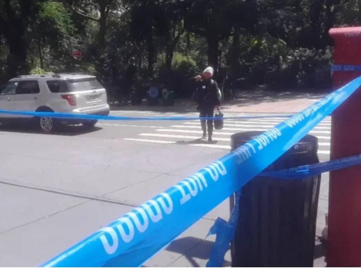 El incidente tuvo lugar el 3 de marzo de 2023. Richards fue llevada al Coney Island Hospital, donde falleció, mientras que su hijo fue ingresado en el NYU Langone Hospital-Brooklyn con lesiones graves en la pelvis que requirieron cirugía y fisioterapia para recuperar su movilidad. 