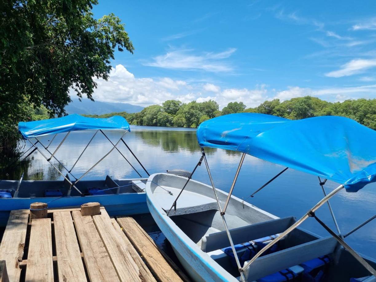 El Refugio de vida Silvestre Cuero y Salado, ubicado en los municipios de El Porvenir, San Francisco y La Masica, le ofrece una maravillosa oportunidad de disfrutar la belleza escénica y el avistamiento de una biodiversidad de fauna. 