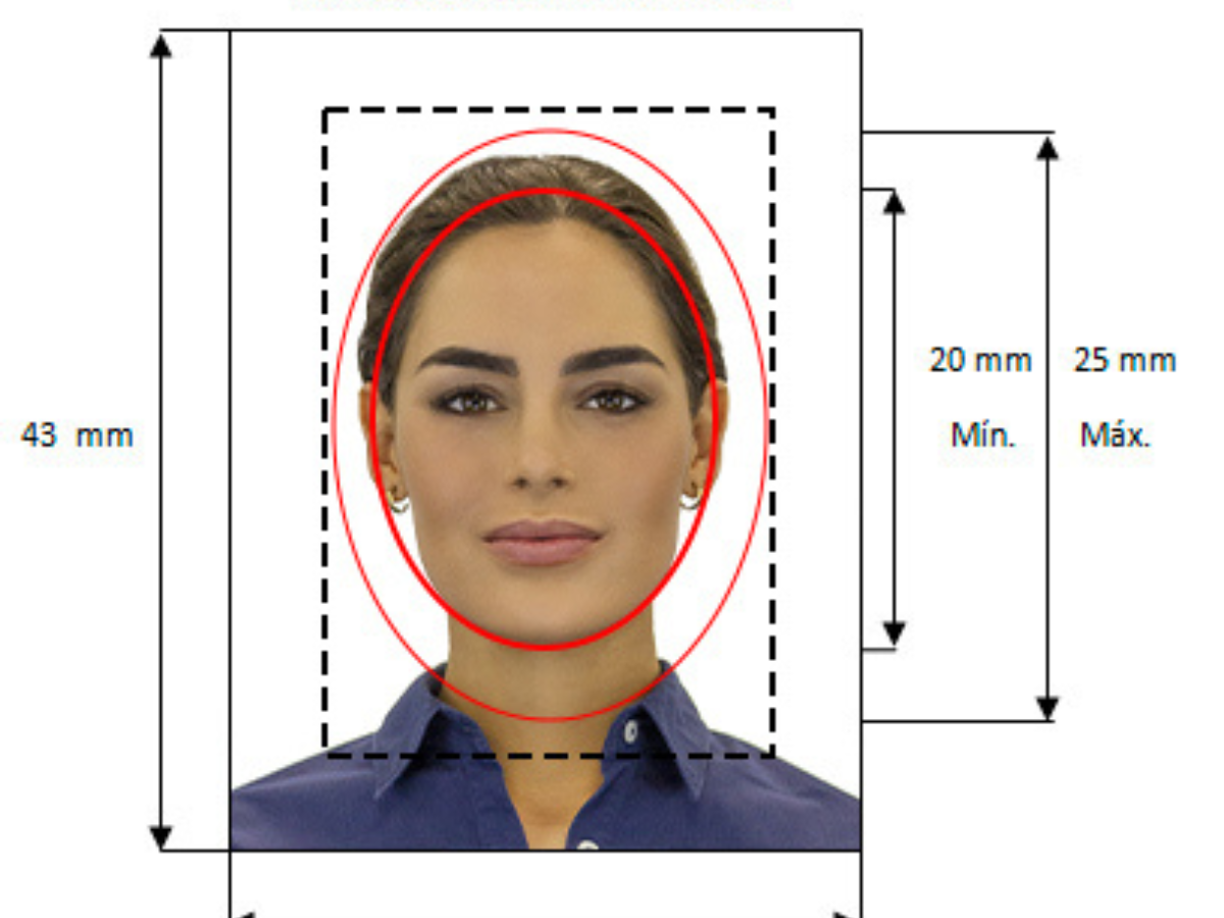 3. Fotografía de frente de las siguientes dimensiones: seis centímetros de alto por cinco de ancho.