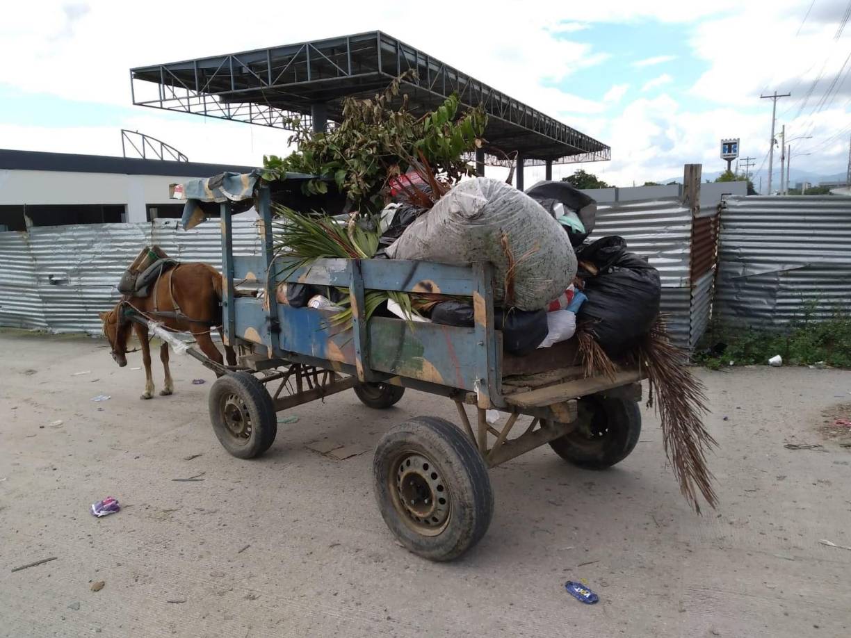 Contreras amplió que luego del censo, cada una de las carretas registradas portarán una placa que las identifique. 
