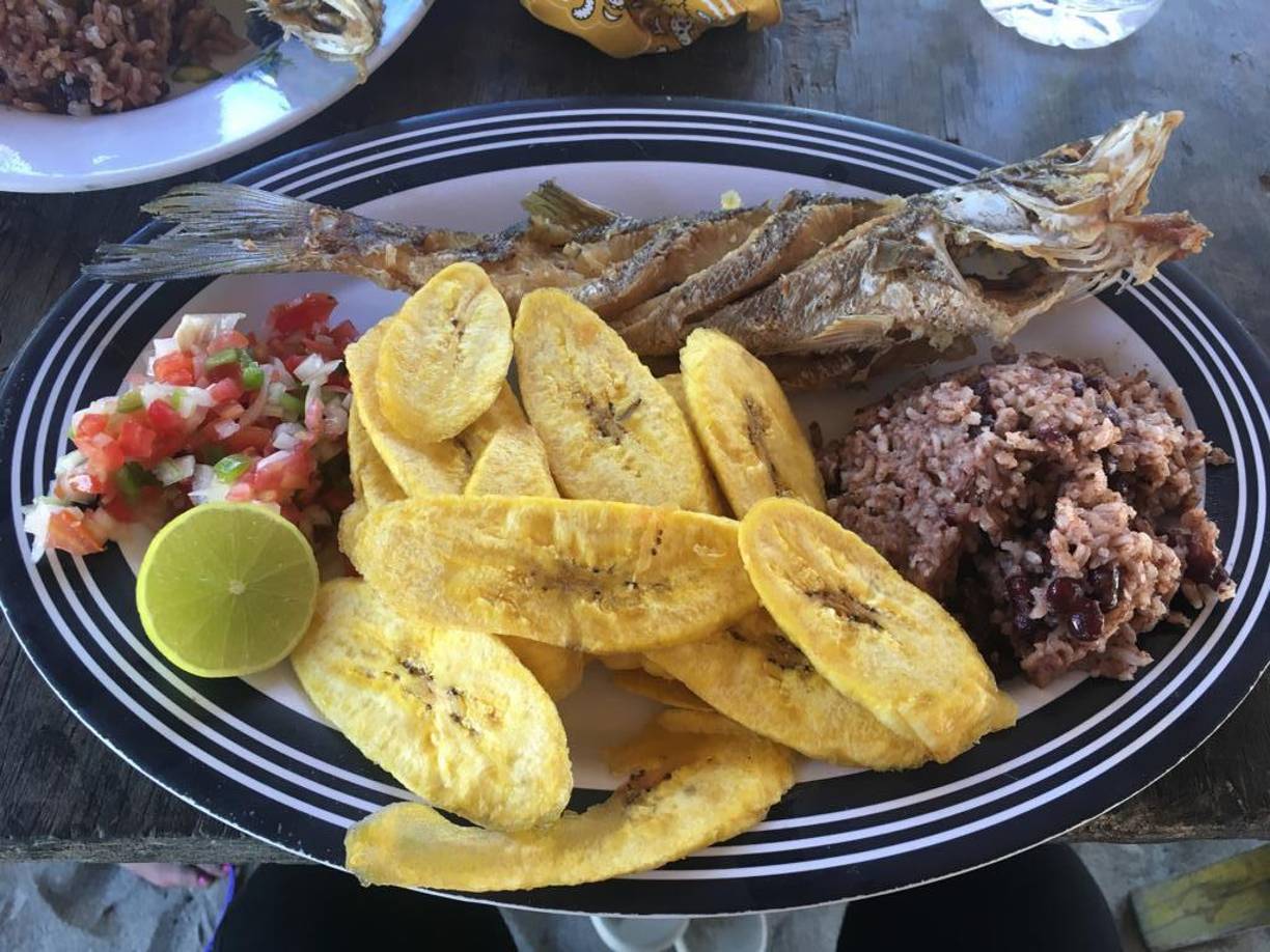 Al finalizar el recorrido en lancha, puede disfrutar de un almuerzo preparado por las mujeres Garífunas de Miami en las orillas de la laguna. Este consiste en pescado fresco tajadas de guineo verde o plátano, chismol, rice and beans, limón y su refresco favorito.