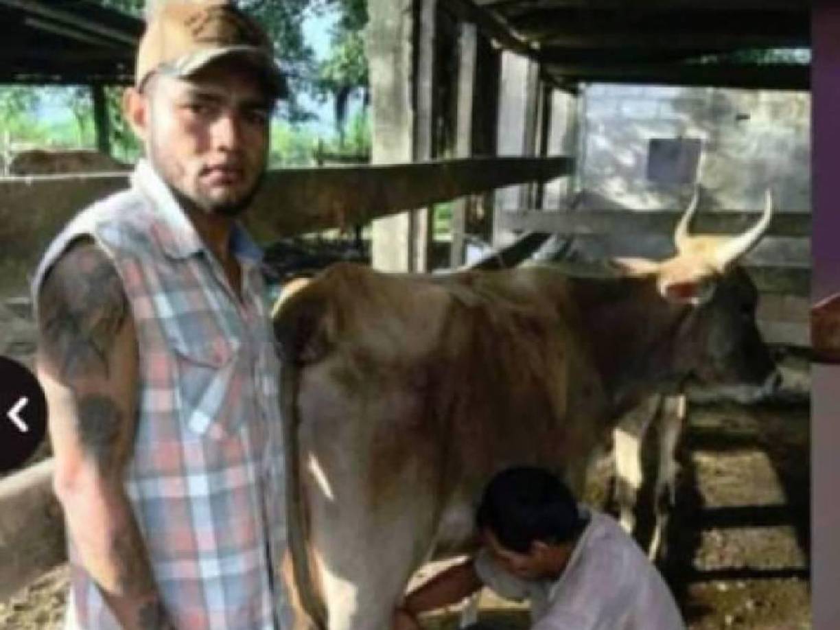 Alexander “La Ficha” Aguilar, jugador del Vida, le dedica tiempo al ganado en sus espacios libres.