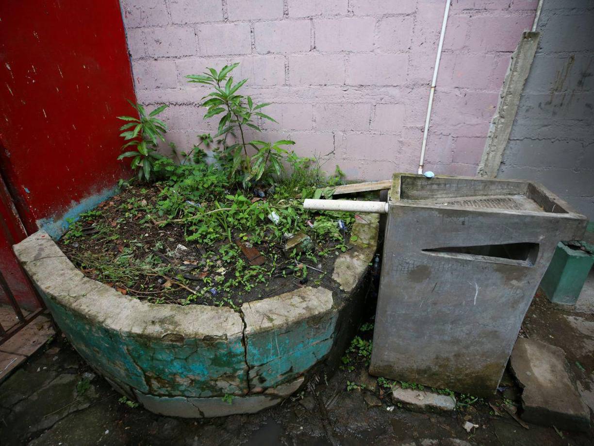 En esta pequeña pila, por ejemplo, las autoriadades han improvisado con una tubería con dirección a una planta que absorba el agua sucia. LA PRENSA Premium conversó con Amnier García, director del centro educativo, quien explicó que actualmente se encuentran en un proceso de legalización del terreno, pero que esperan que al culminar se continúe con las mejoras.