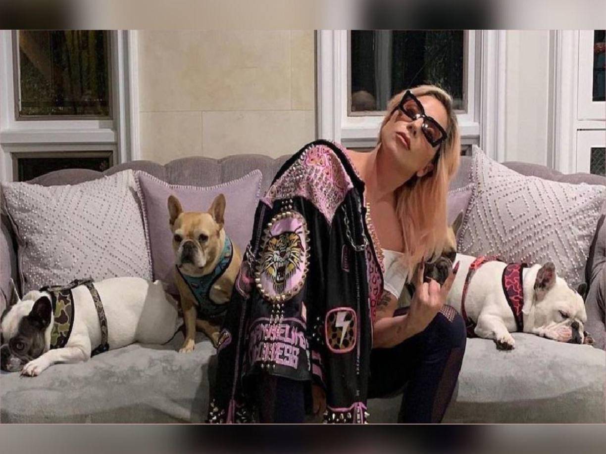 Hace poco menos de dos años, Lady Gaga se enfrentó a uno de los peores momentos de su vida cuando sus dos perros, Gustav y Koji, fueron secuestrados a punta de pistola cuando paseaban junto a Ryan Fischer, su cuidador, por las calles de Los Ángeles.