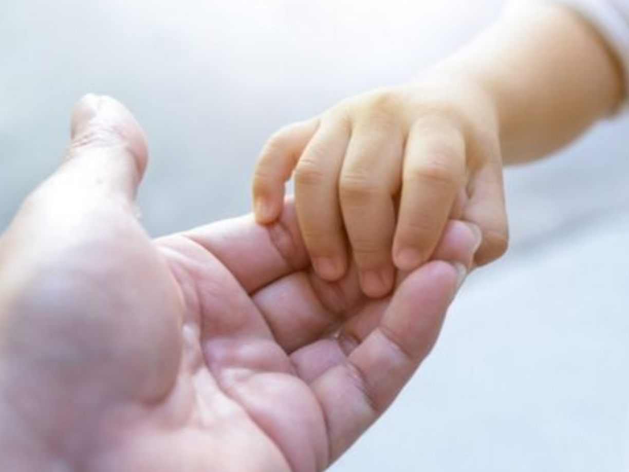 12. Carta de compromiso de los adoptantes que exprese el sometimiento que en materia de adopciones establece el código de familia, reglamento de adopciones y otras disposiciones.