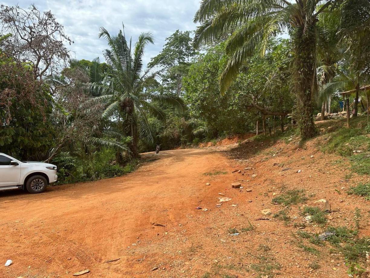 El secreto de esta centenaria mujer, tiene perplejos a los pobladores de Cerro Colorado, municipio de Balfate, Colón donde nació y aún reside. No por su longevidad sino por su lucidez y su capacidad para leer la biblia sin anteojos y trasladarse a la iglesia de su comunidad. 