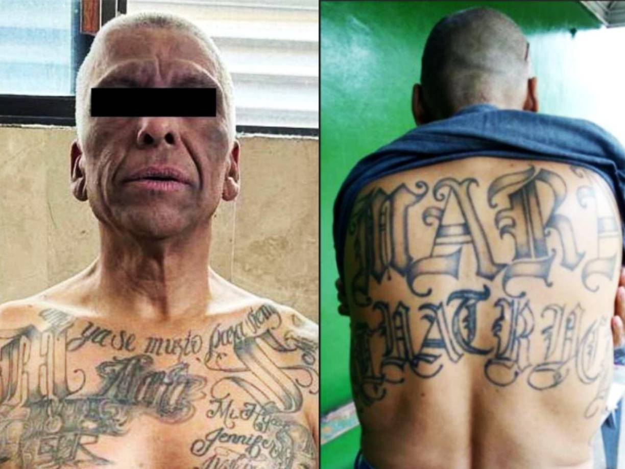 Este martes se realizó la captura de José Wilfredo Ayala Alcántara, también conocido como “El Indio de Hollywood”, un ciudadano salvadoreño y presunto segundo al mando de la organización Mara Salvatrucha MS13. Los agentes de inteligencia de la Secretaría de Seguridad Ciudadana (SSC) de la Ciudad de México llevaron a cabo esta operación en la colonia Buenavista de la alcaldía Cuauhtémoc.