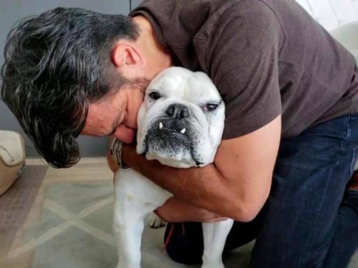 Cabe destacar que el 2023 fue un año muy agridulce para el también cómico. Si bien sus proyectos tuvieron un rotundo éxito, tuvo que enfrentar muchas adversidades como el accidente que lo inmovilizó temporalmente de un brazo y la muerte de su querida perrita Fiona.