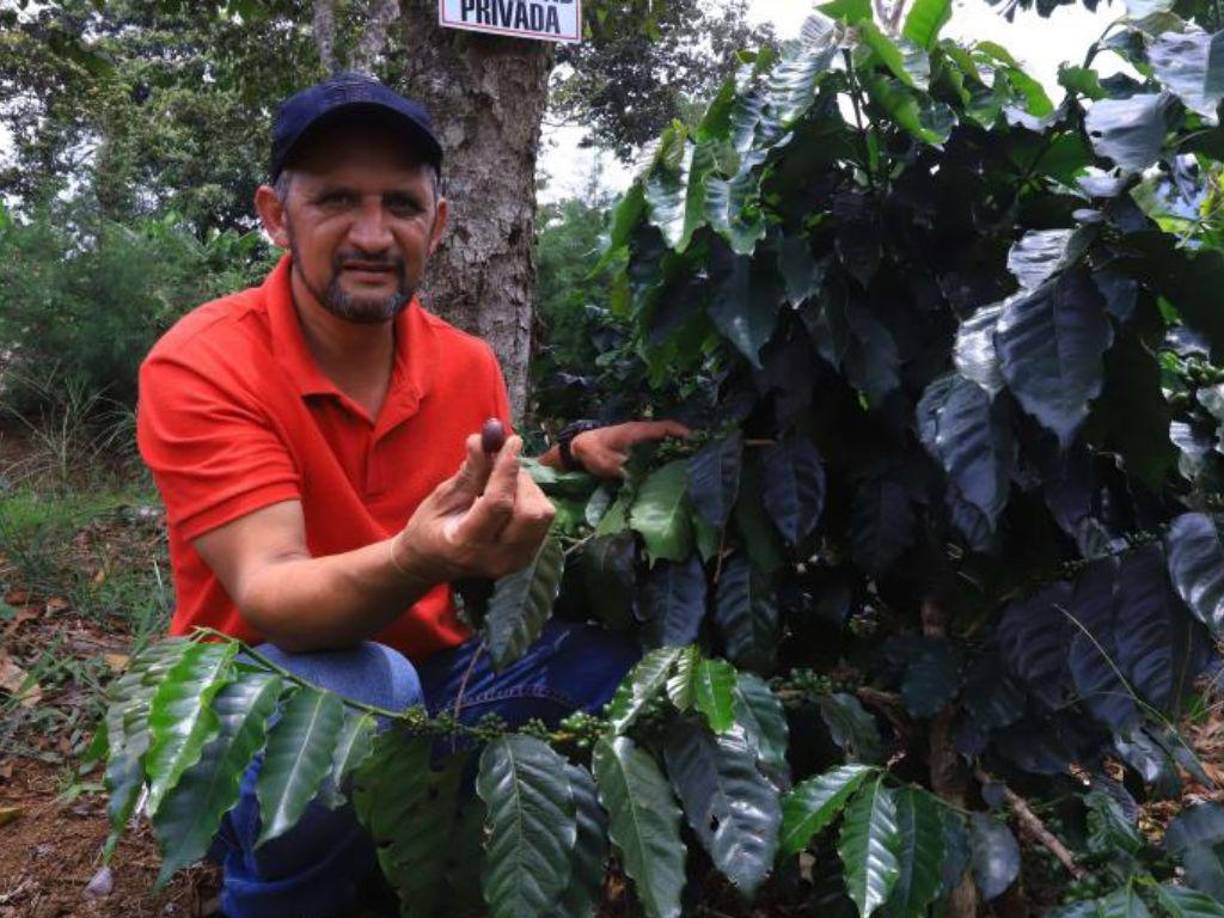 Óscar Edgardo Tinoco recibió a DIARIO LA PRENSA en su finca en Santa Bárbara, donde produce el mejor café de Honduras.