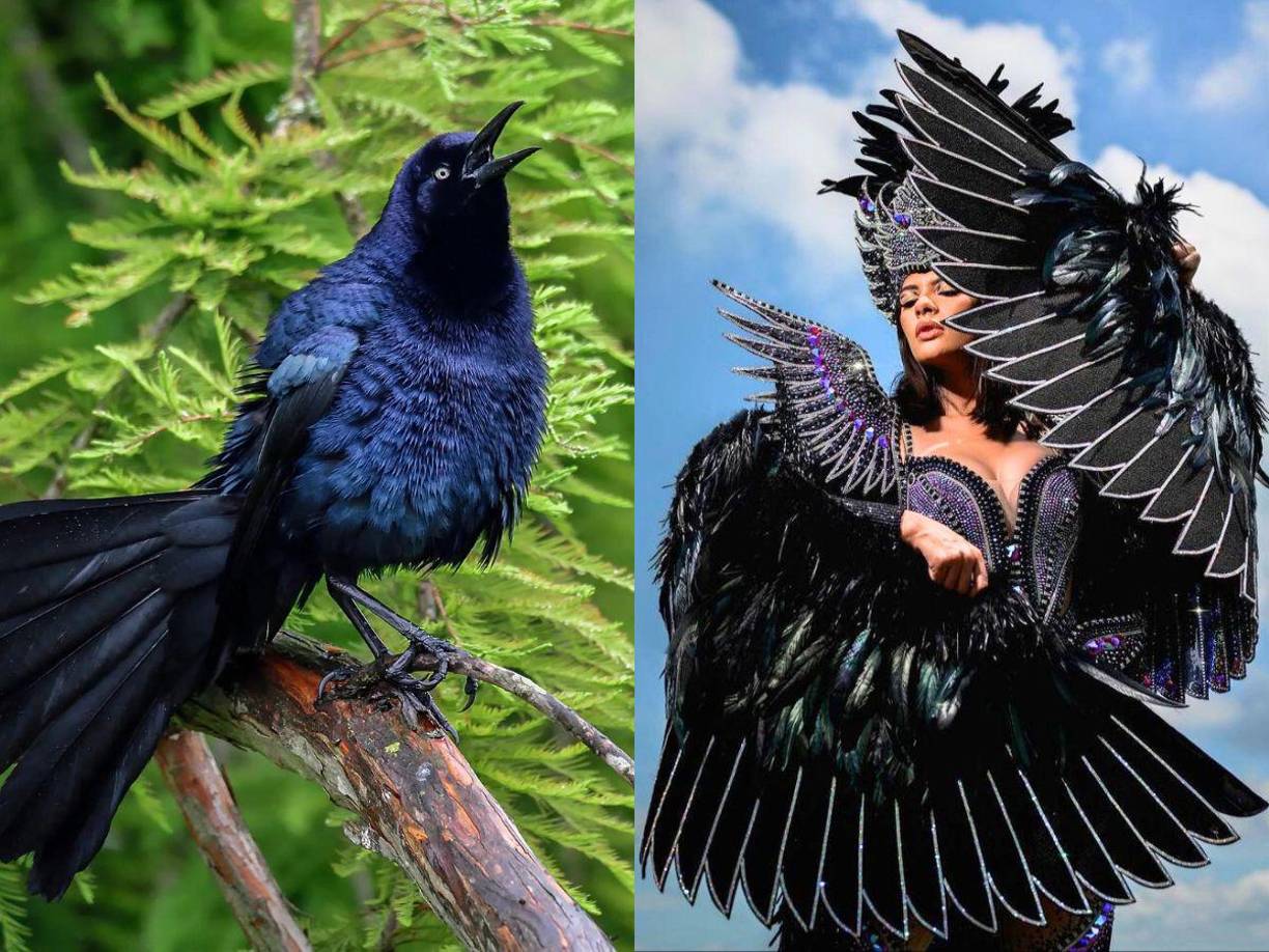 El traje negro y emplumado destaca a la perfección en la silueta y belleza de la encantadora Sheynnis Palacios.