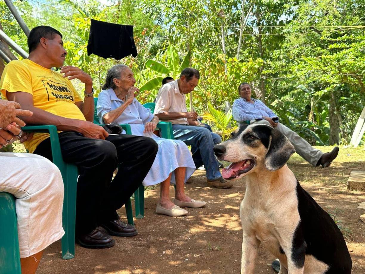 “Nunca tomé una cerveza, no me desvelo, me acuesto a las ocho y me levanto a la seis de la mañana. Como bien pero muy poco, especialmente productos del campo”, asegura. 