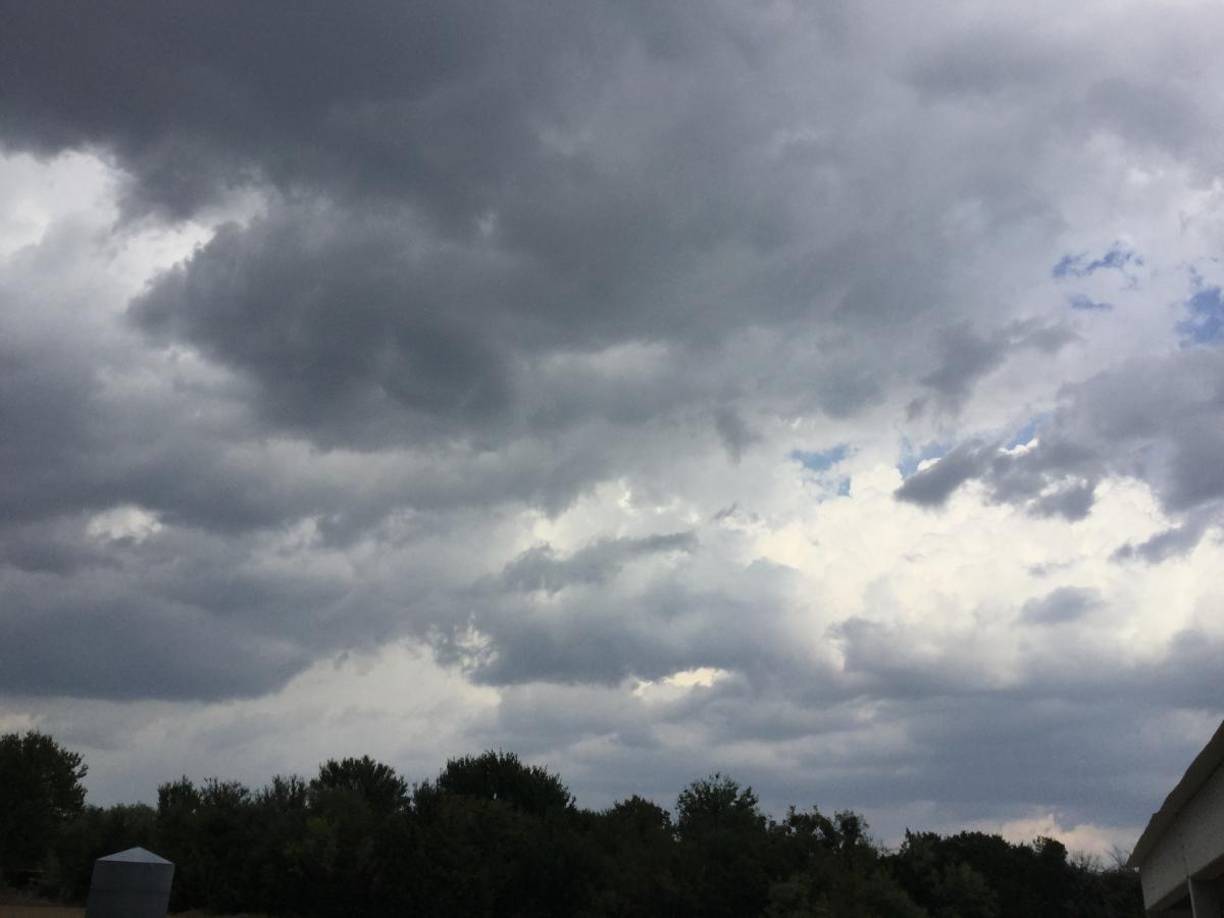 Las ciudades de Austin, Houston y San Antonio tendrán condiciones mixtas, con nubes y sol, pero algunas áreas podrían experimentar precipitaciones que dificulten el acceso a los centros de votación.