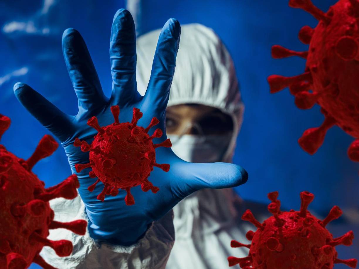 Los Centros para el Control y la Prevención de Enfermedades (CDC) han emitido una alerta sanitaria debido al incremento inusual de casos de parvovirus humano B19, también conocido como eritema infeccioso, “la quinta enfermedad” o la “enfermedad de la bofetada”.