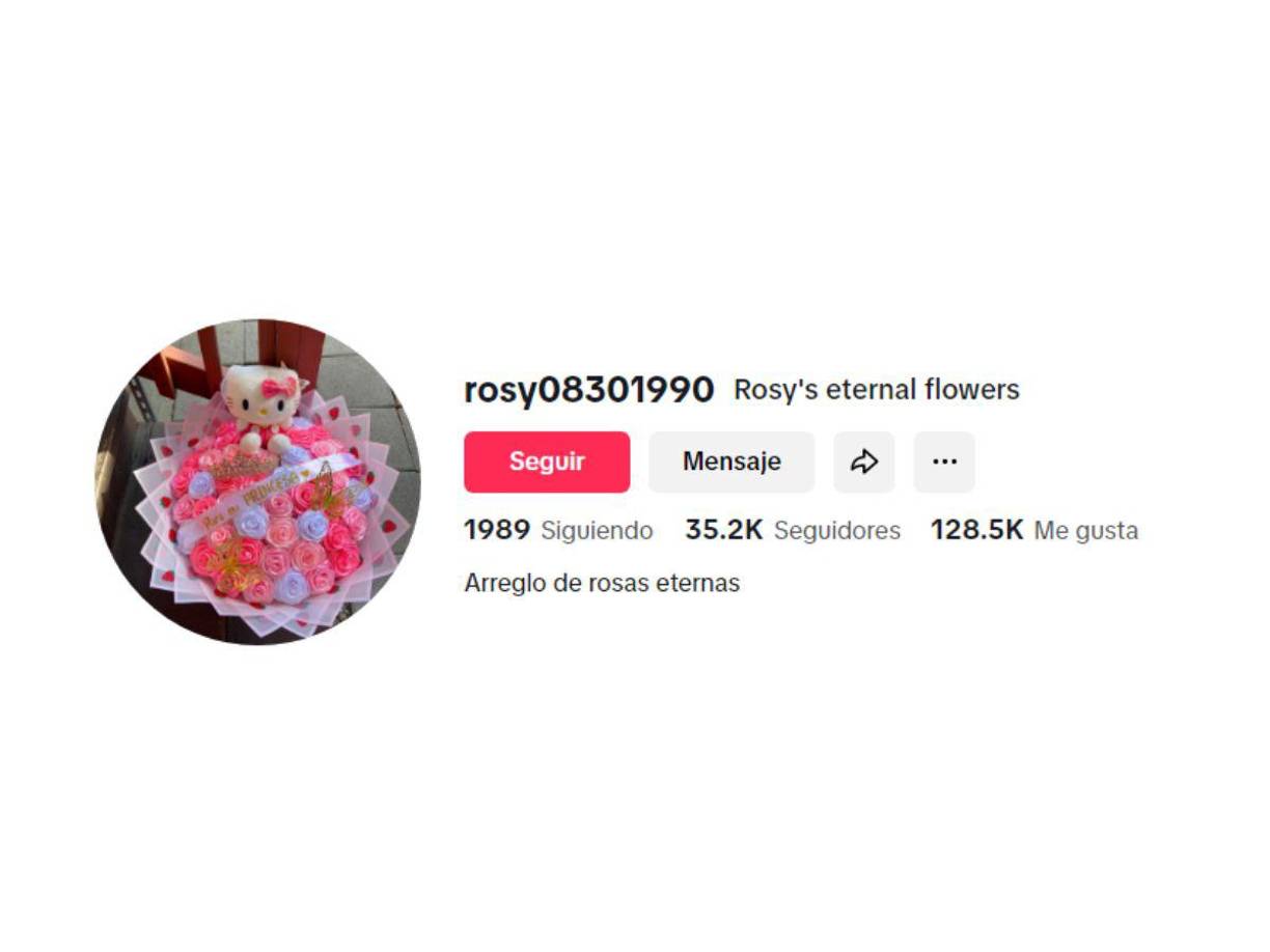 Rosy, publicó el pasado 21 de enero un <a rel="nofollow noopener noreferrer" href="https://www.tiktok.com/@rosy08301990/video/7462434151606619438?is_from_webapp=1&amp;sender_device=pc&amp;web_id=7376753924851631621" target="_blank">video de cinco minutos</a>, contando detalles de su sueño con similitudes relacionadas al accidente del vuelo 5342 de American Airline.