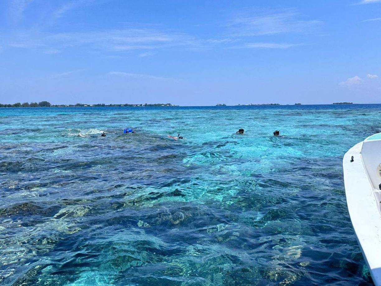 Utila es un refrente turístico para los buceadores, al albergar la segunda barrera de coral más grande del mundo. Es la isla más pequeña de Honduras, y la más próxima al territorio continental del Caribe. Situada en la zona norte del continente y con paisajes de agua turquesa alejados de la masificación, esta pequeña isla cercana a la residencia de estrellas como Michael Douglas o Catherine Z Jones es el destino del momento.