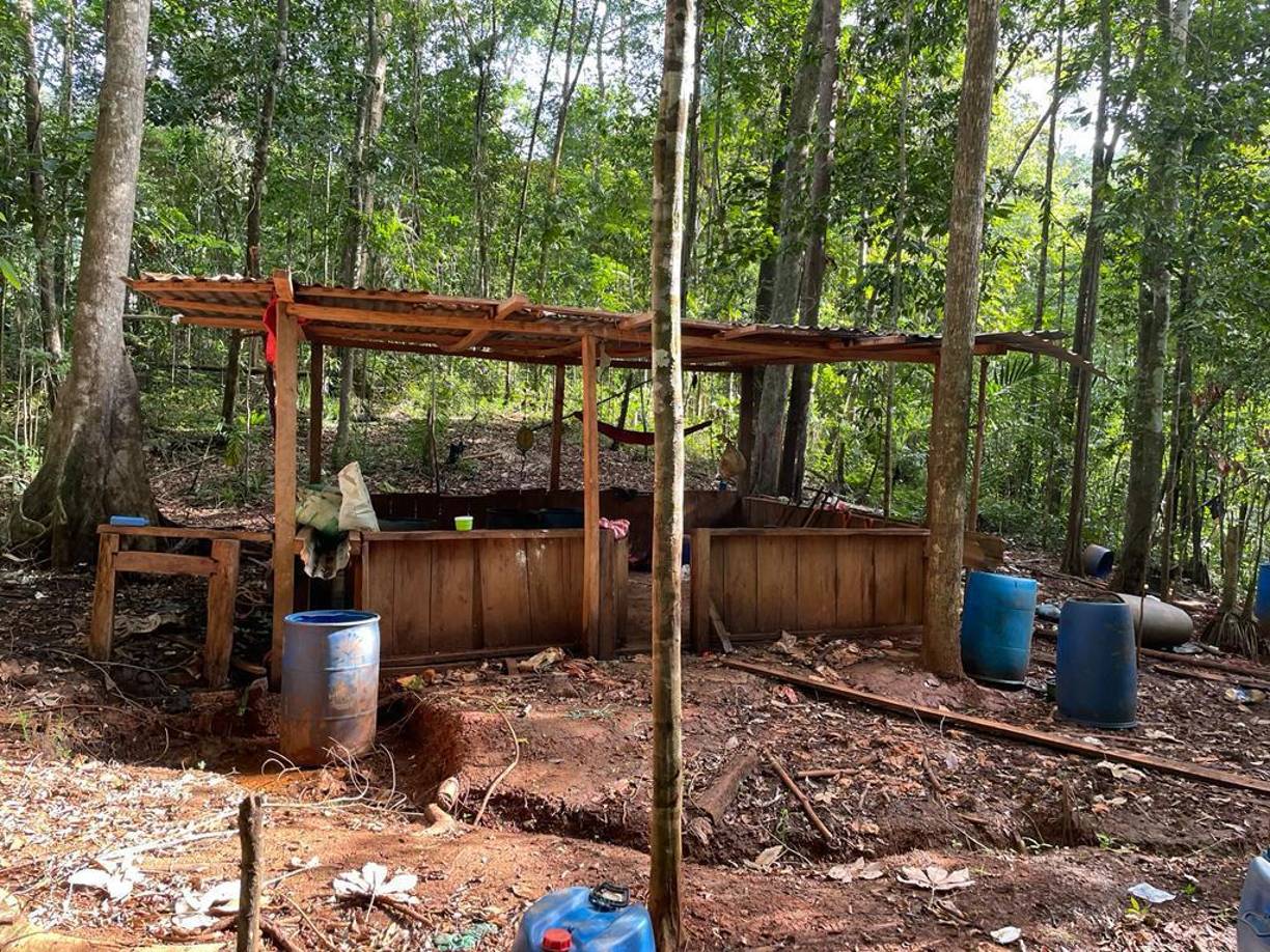 Destruyen dos narco laboratorios y una plantación de arbustos de coca en Colón