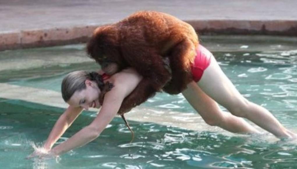 El orangután que bucea