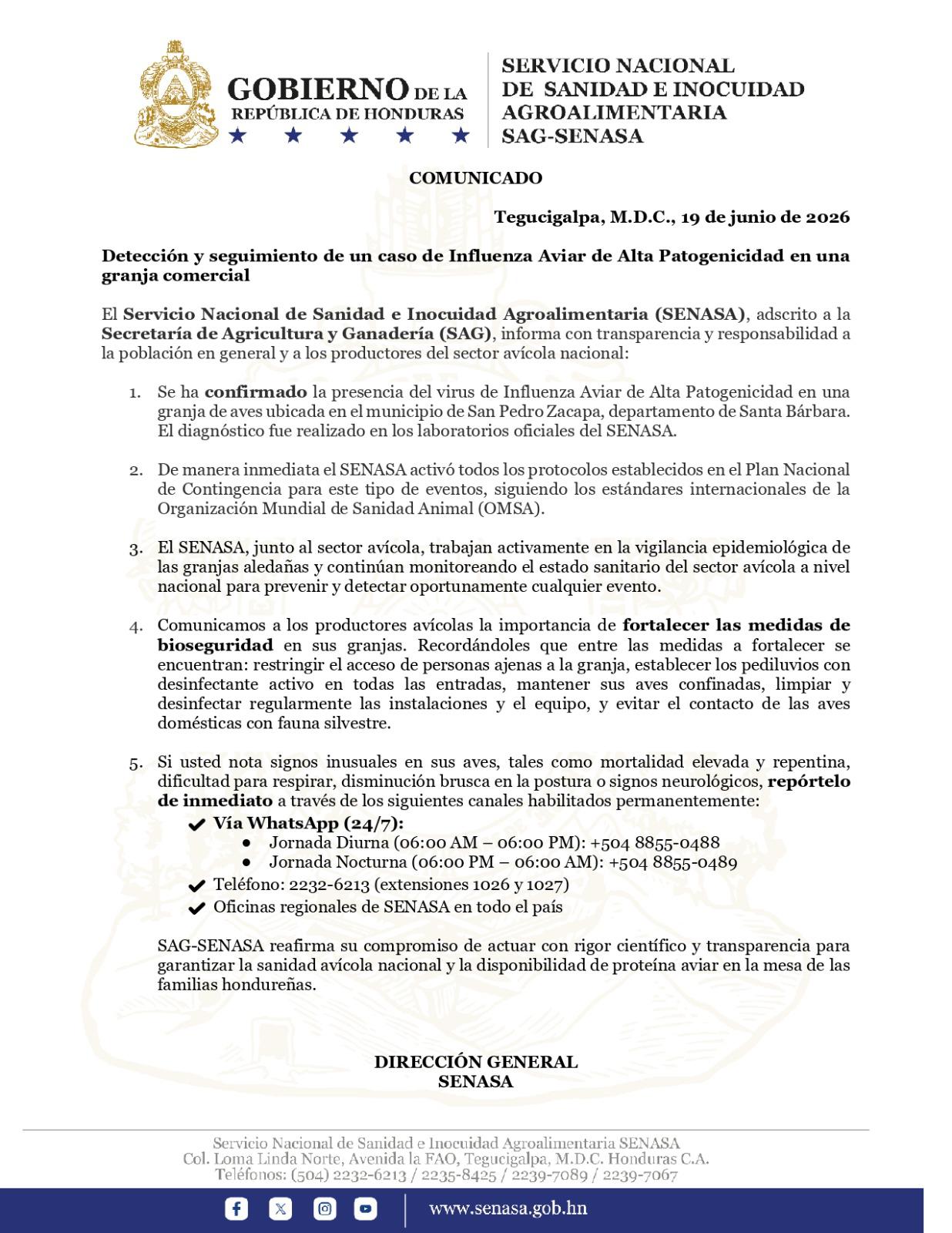 Senasa pide a los granjeros reportar cualquier incidencia entre sus aves de corral.