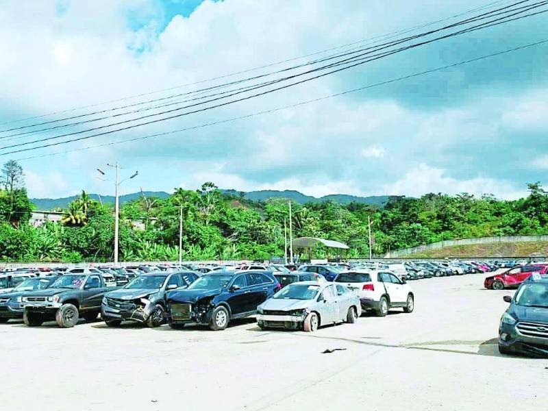 Lote de vehículos en trámite de ingreso al país.