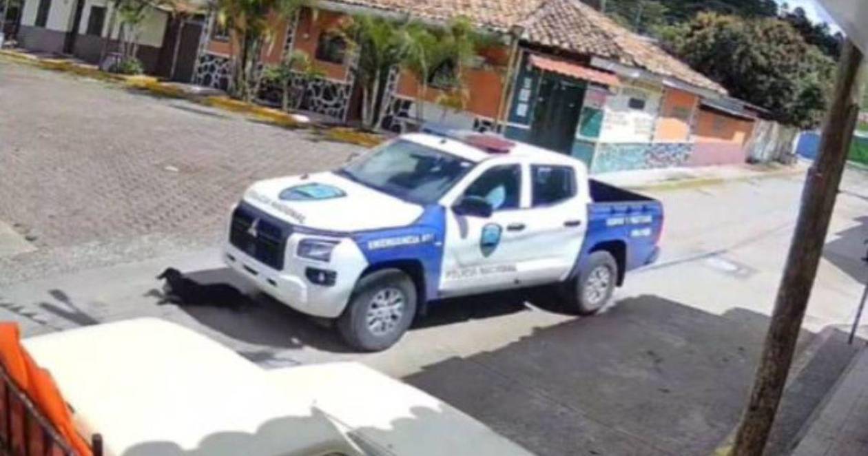 Indignante: perrito es atropellado por policías en San Buenaventura