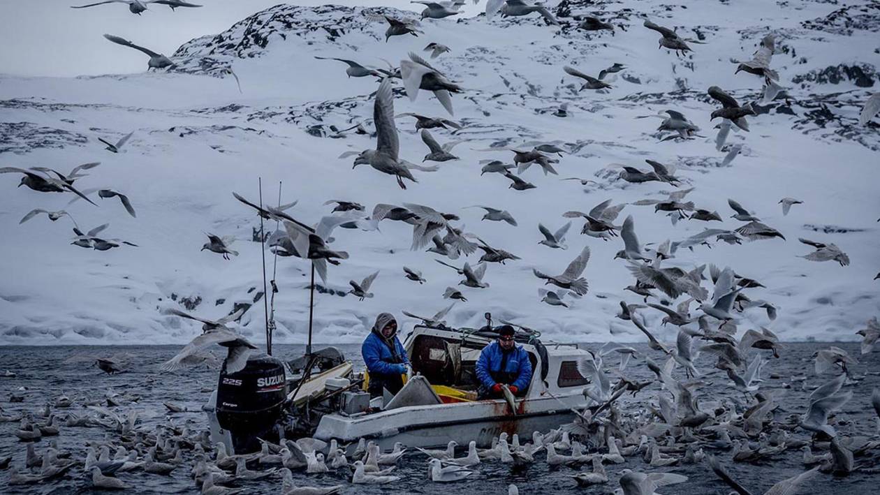 Trump desata tensiones en las tierras raras de Groenlandia