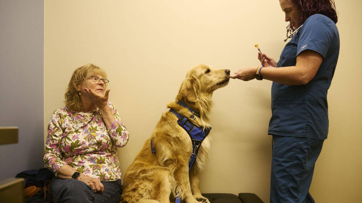 Rechazo a las vacunas pone en riesgo la vida de mascotas tras la pandemia