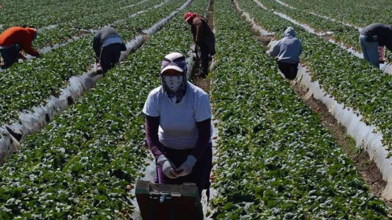 Migrantes hondureños, una fuerza que aporta a economía de Estados Unidos