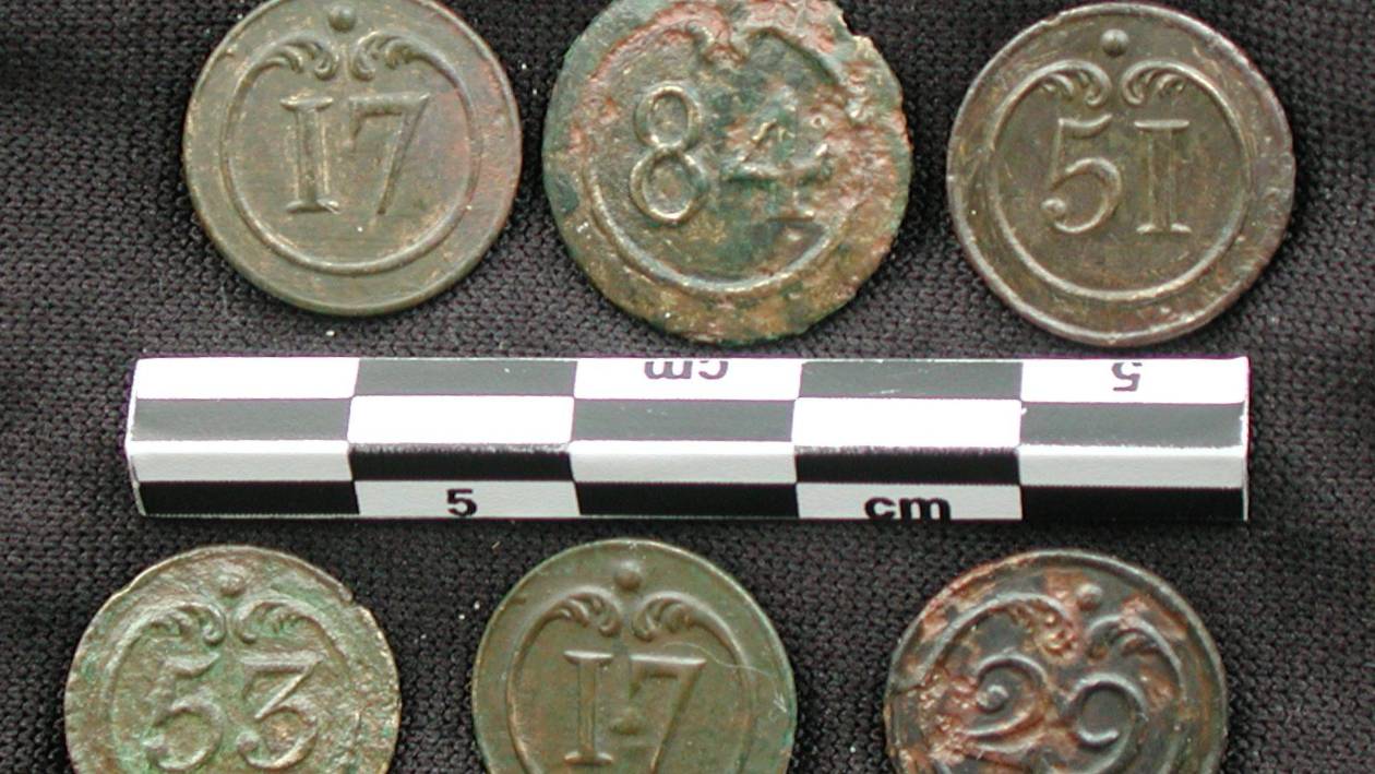 Secretos bacterianos del ejército de Napoleón: la mortal retirada de 1812