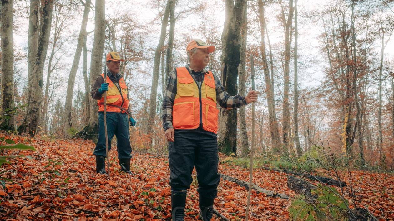 Japón emite advertencias y cierra parques por ataques de oso