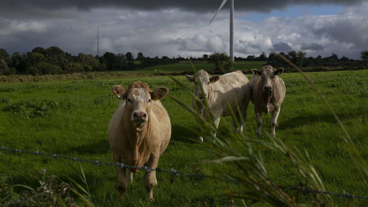 Furor por la IA deja sin luz ni agua a comunidades mexicanas