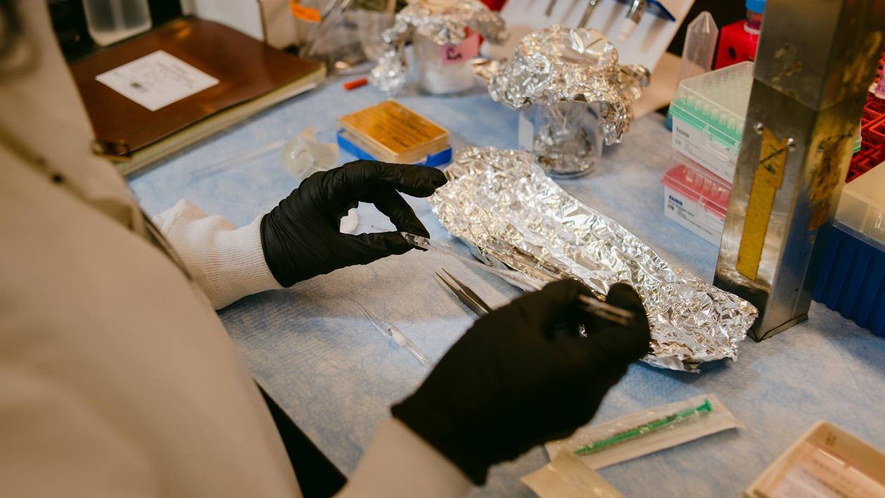 Polémico descubrimiento: la bacteria que desafió la ciencia