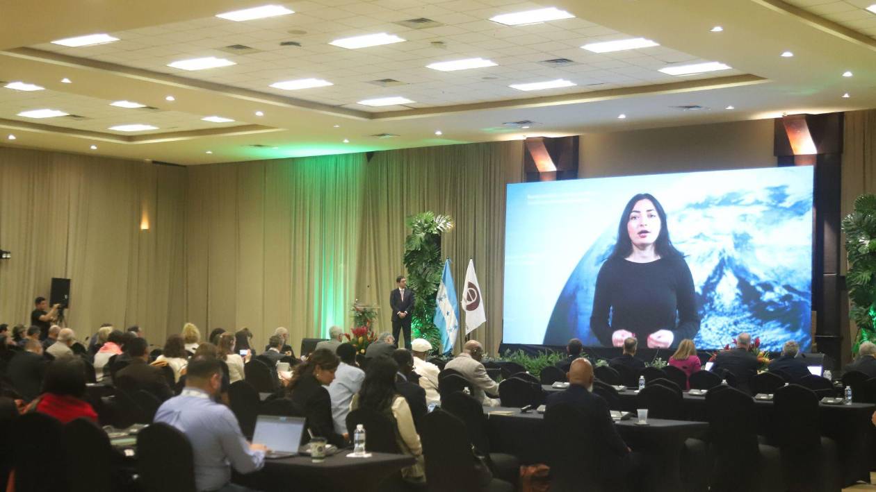 Cumbre del café: proponen prorrogar aplicación de normas ambientales