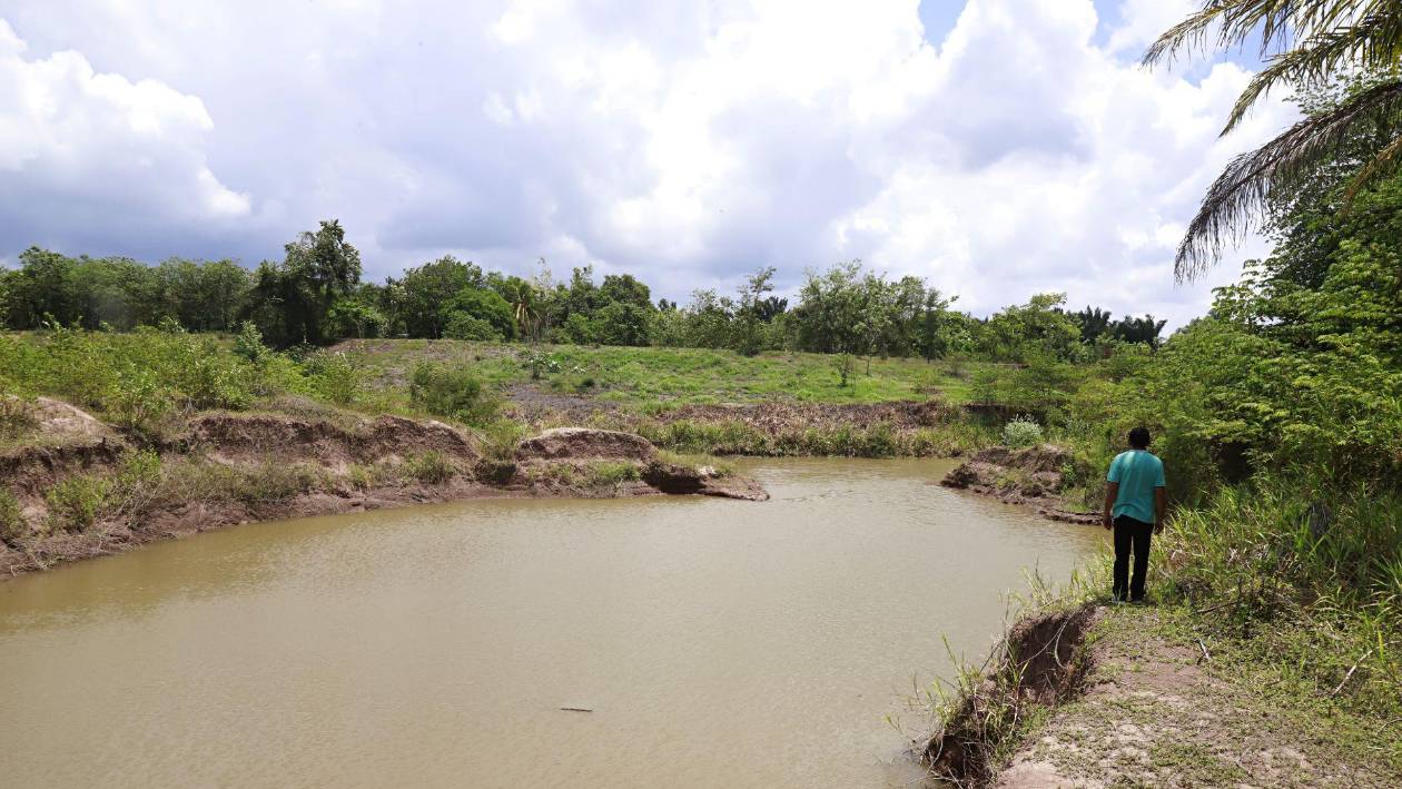 No repararon bordos, y campos de El Progreso se inundan con primera crecida del Ulúa
