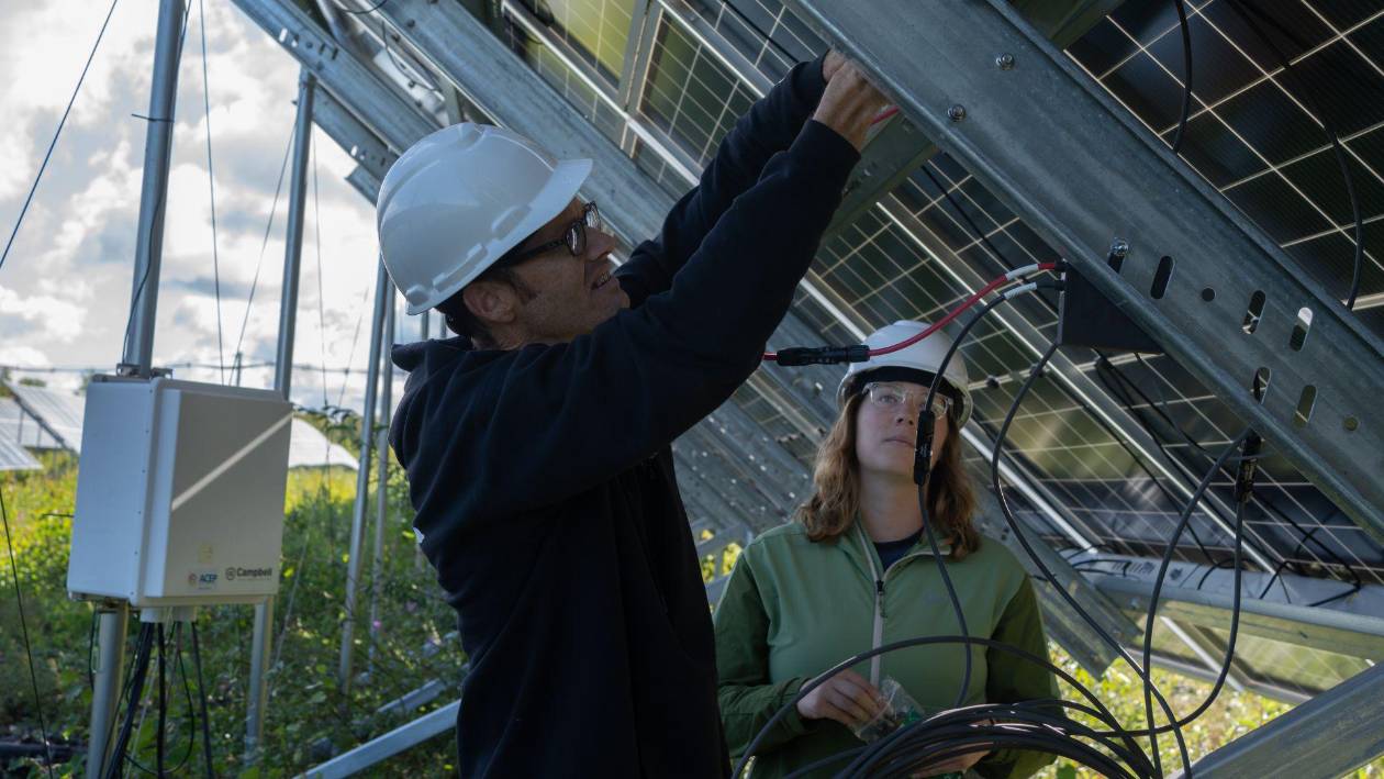 Experimento solar que podría redefinir el futuro de la producción de alimentos