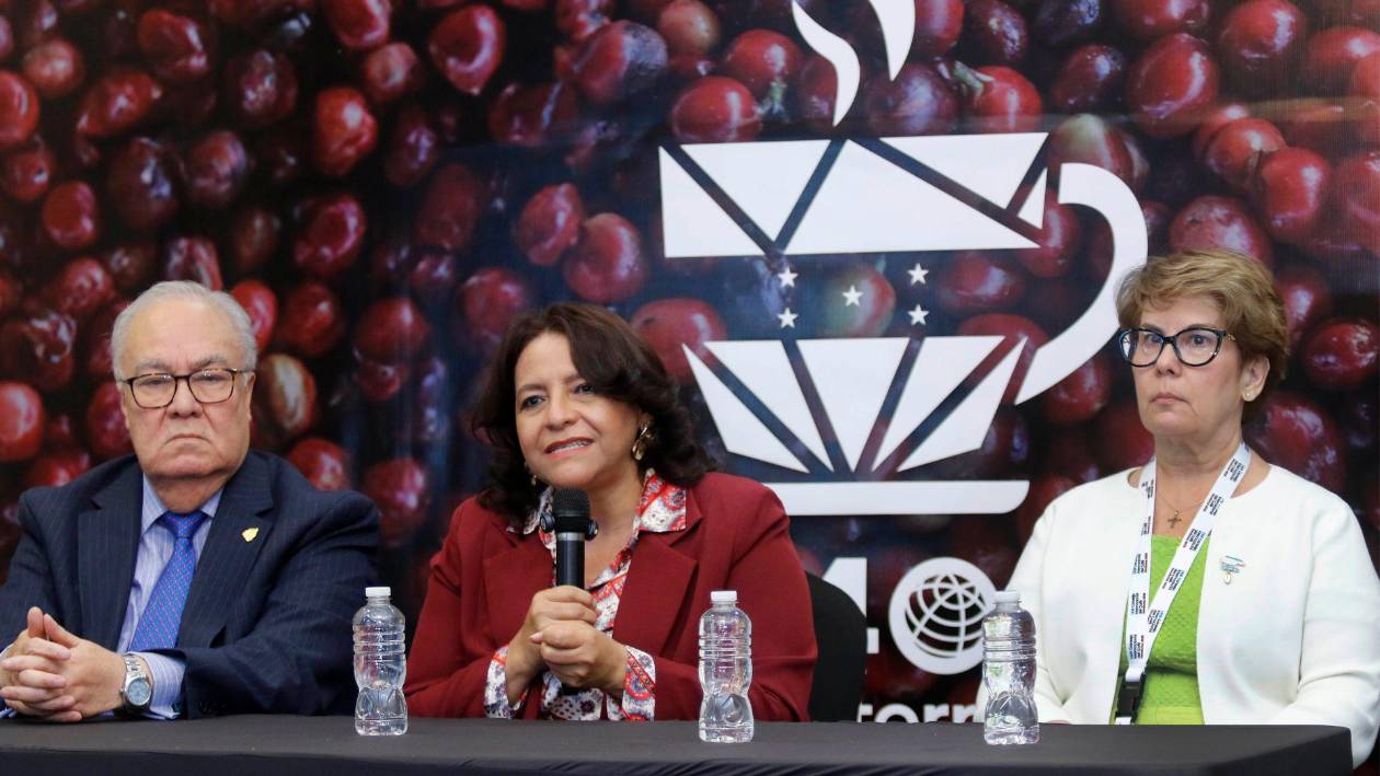 Honduras se reporta lista para exportar café libre de deforestación