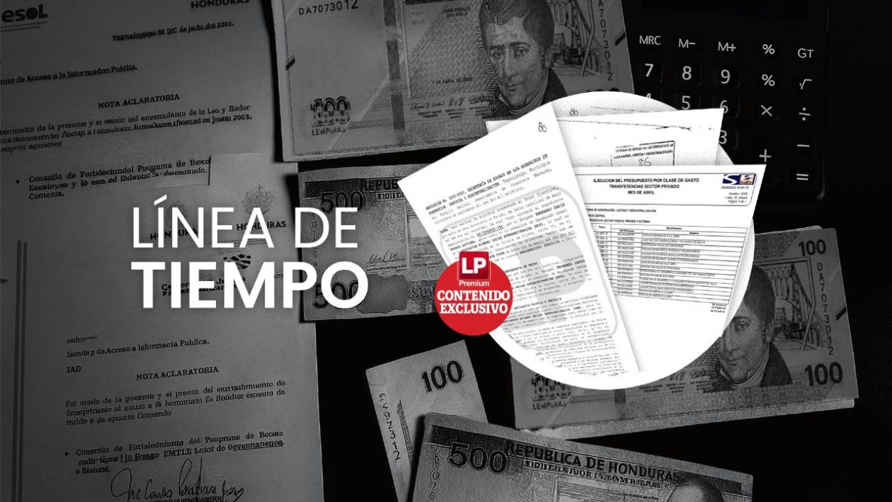 Diputados de Libre beneficiaron a ONG constituidas en 2024 y 2021