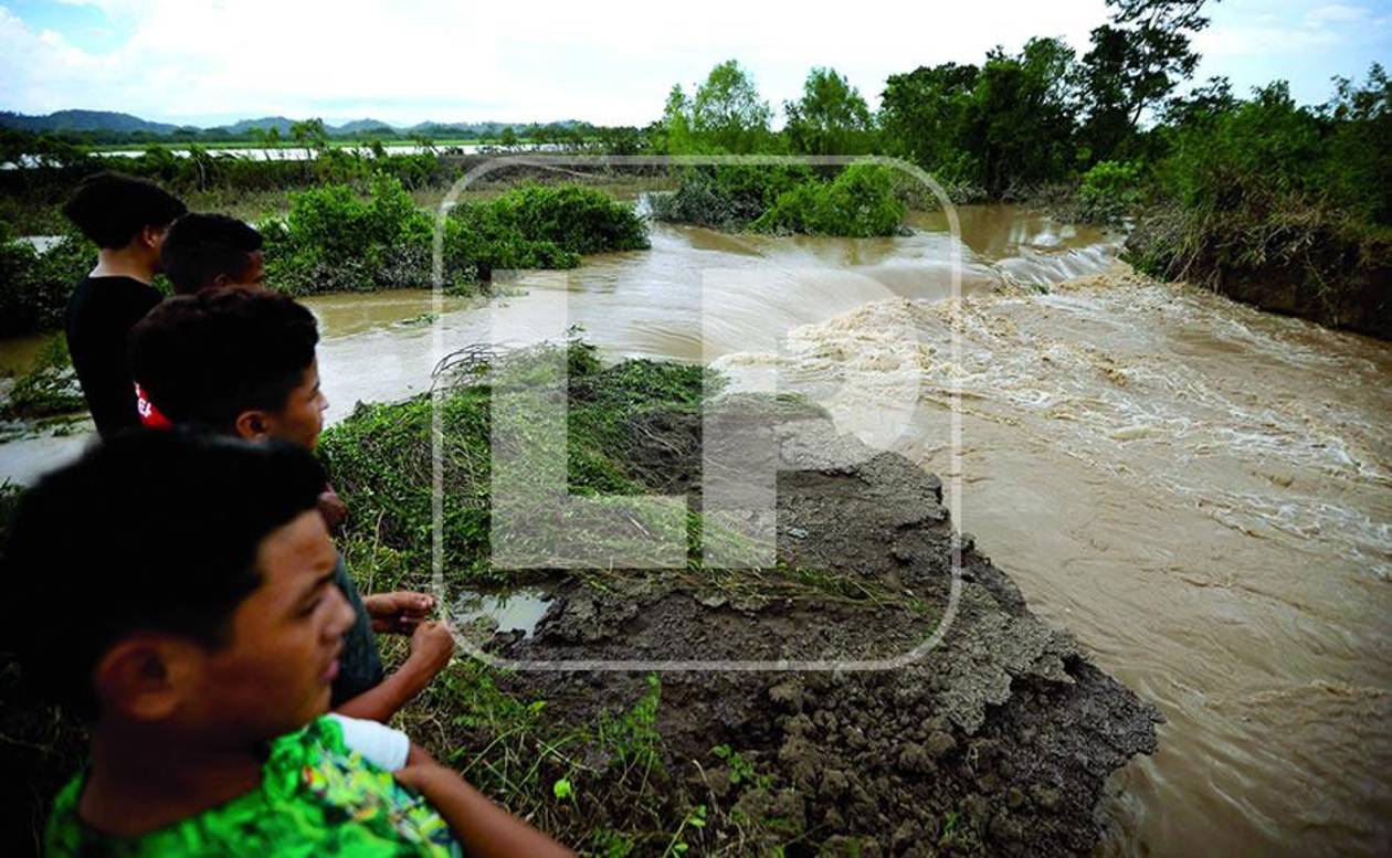 Bordos rotos y crecida de ríos tienen en zozobra al valle de Sula