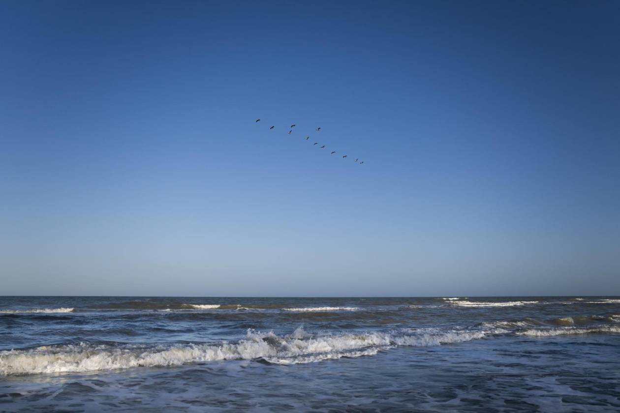 ¿Golfo de México o Golfo de América?, el cambio de nombre que causa desconcierto