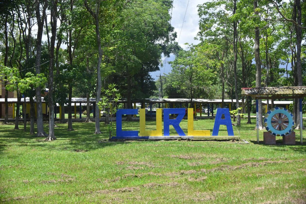 Unah Atlántida fortalece la investigación científica de la agroindustria