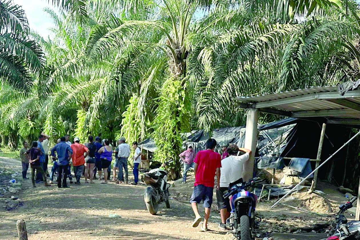 Conflicto agrario continúa escalando en el Bajo Aguán