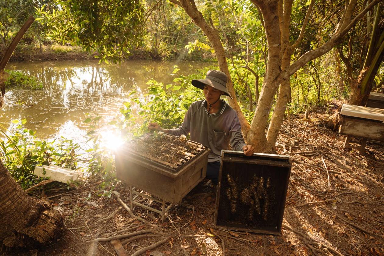 De los tanques a los Apple Watch: el nuevo Vietnam