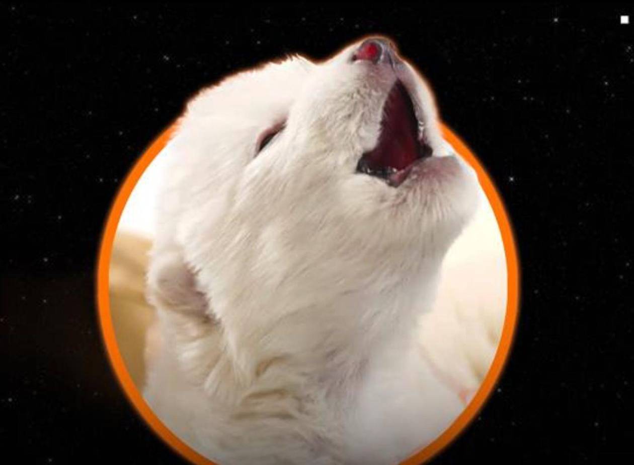 Científicos 'reviven' al lobo terrible de 'Juego de Tronos', extinto hace 13,000 años