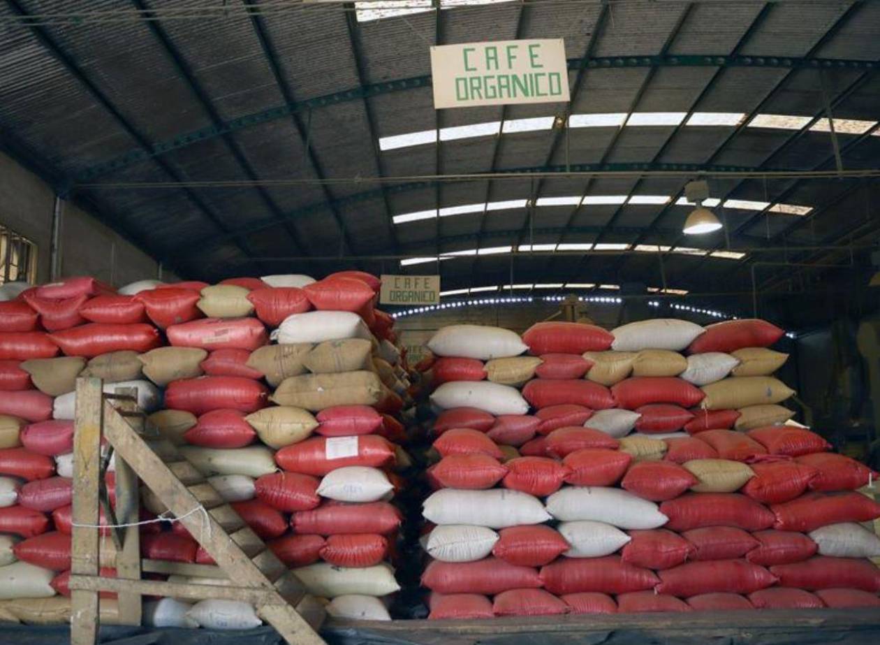 Productores de café y cacao piden a EEUU que los exima de aranceles