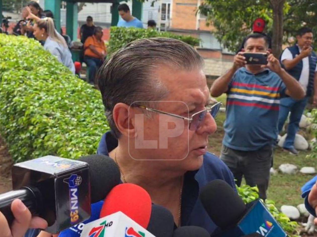 David Matamoros Batson: Partido Nacional tiene su propio Trep