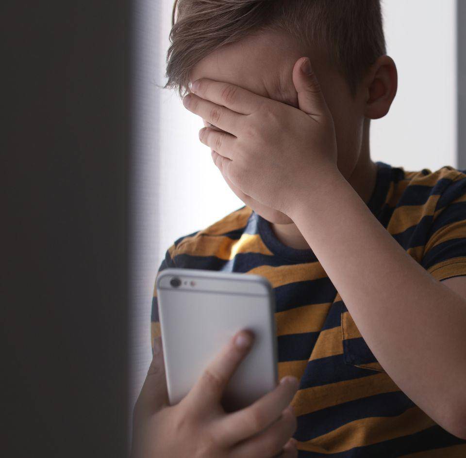 Las plataformas más utilizadas para el acoso digital incluyen Instagram, TikTok, Facebook y YouTube, donde niñas, niños con discapacidades y jóvenes LGBTQ+ presentan mayores tasas de victimización.