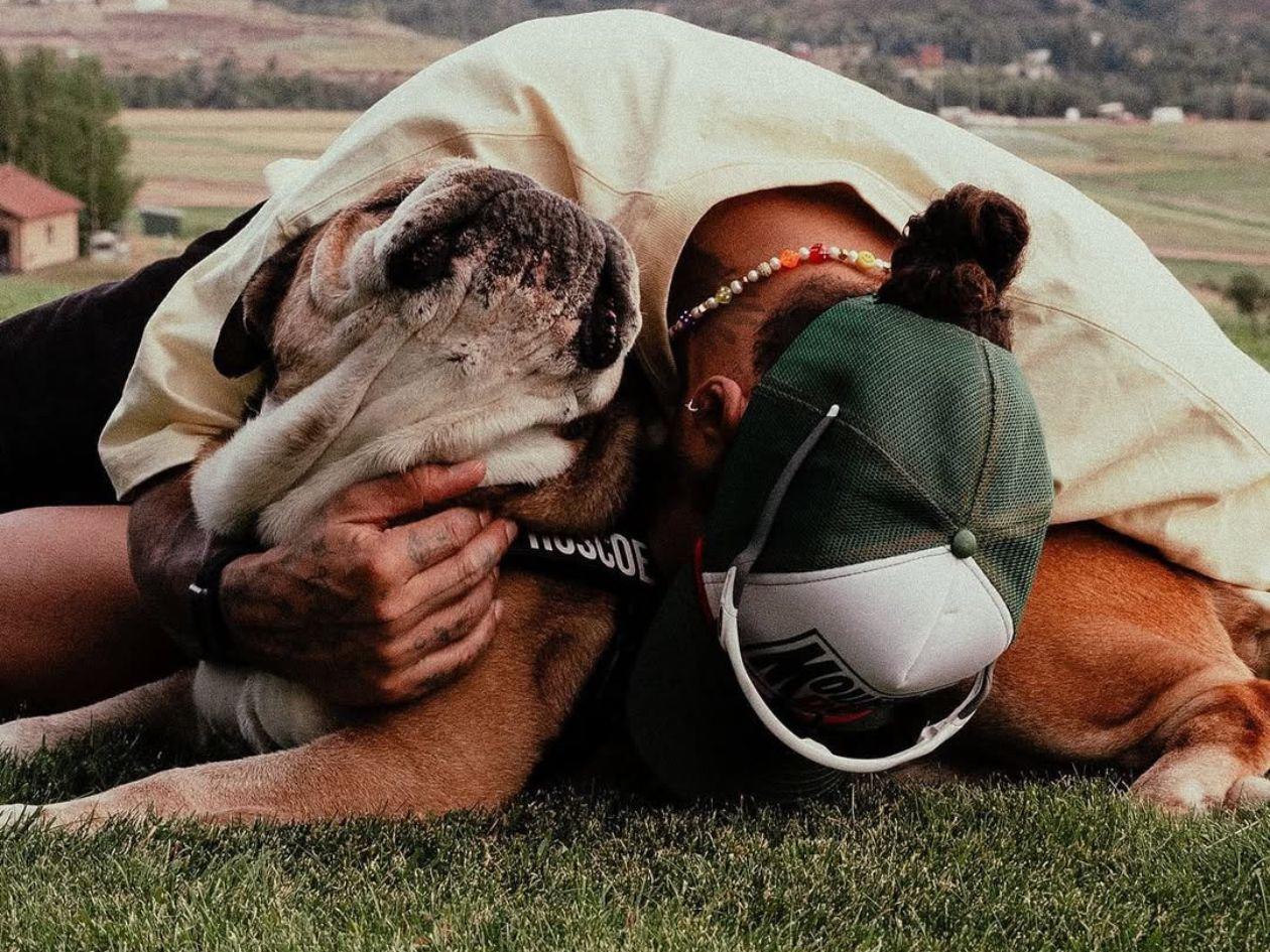 Lewis Hamilton llora la muerte de su perro Roscoe con emotivo homenaje