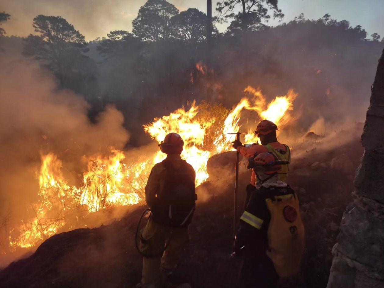 Más de 500 brigadas protegerán 2.8 millones de hectáreas de los incendios