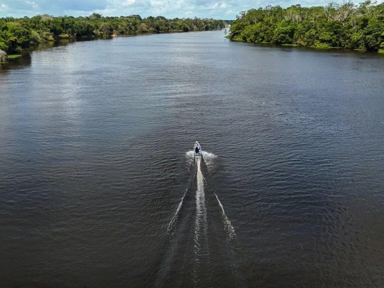 Este video de la anaconda gigante en el Amazonas fue creado con IA
