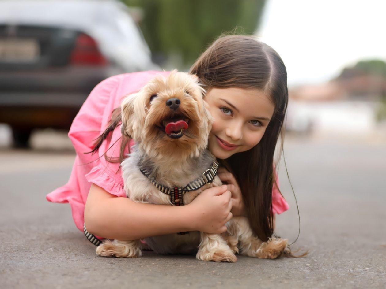 New Horizon School invita a los sampedranos a la Feria del Animalito