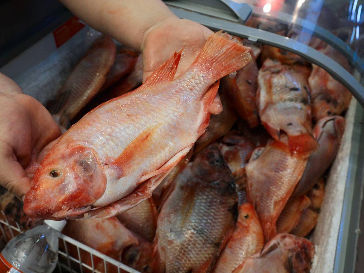 Mariscos inician tradicional escalada de precios en mercados